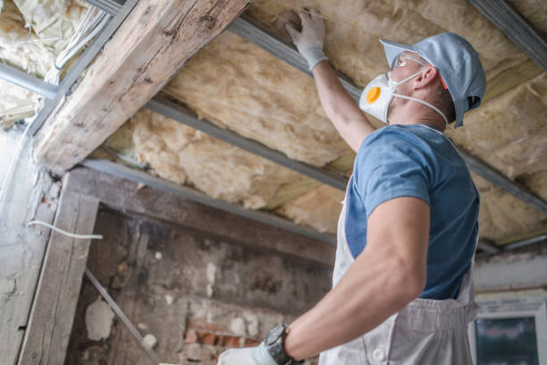 Best Attic Insulation Installation  in Fort Calhoun, NE