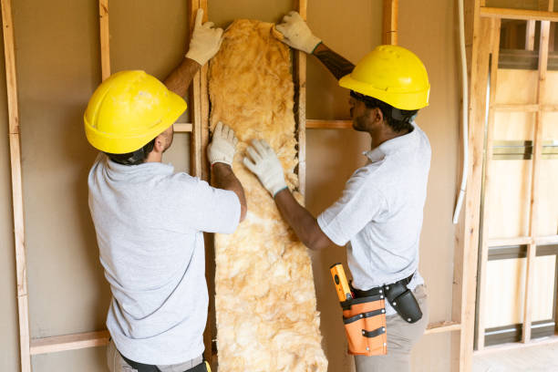 Best Best Insulation Companies  in Fort Calhoun, NE
