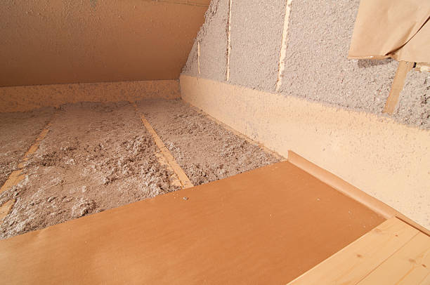 Best Insulation Inspection Services  in Fort Calhoun, NE