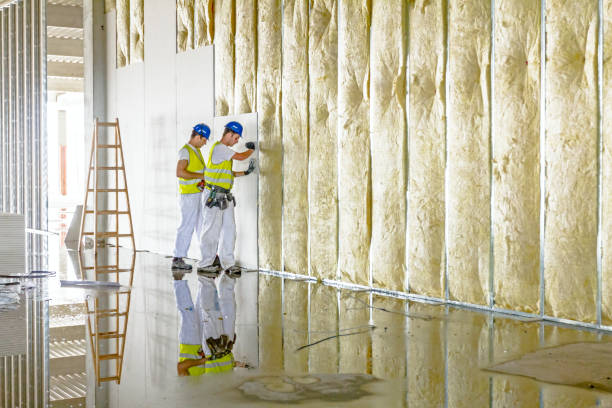 Best Insulation Installation Cost  in Fort Calhoun, NE